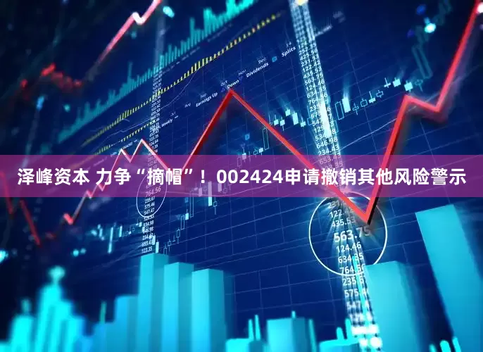 泽峰资本 力争“摘帽”！002424申请撤销其他风险警示