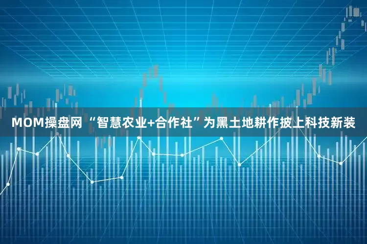 MOM操盘网 “智慧农业+合作社”为黑土地耕作披上科技新装