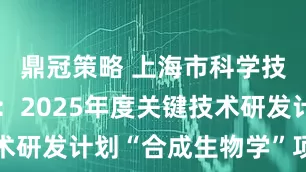 鼎冠策略 上海市科学技术委员会：2025年度关键技术研发计划“合成生物学”项目立项
