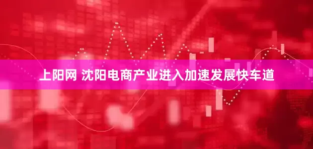 上阳网 沈阳电商产业进入加速发展快车道