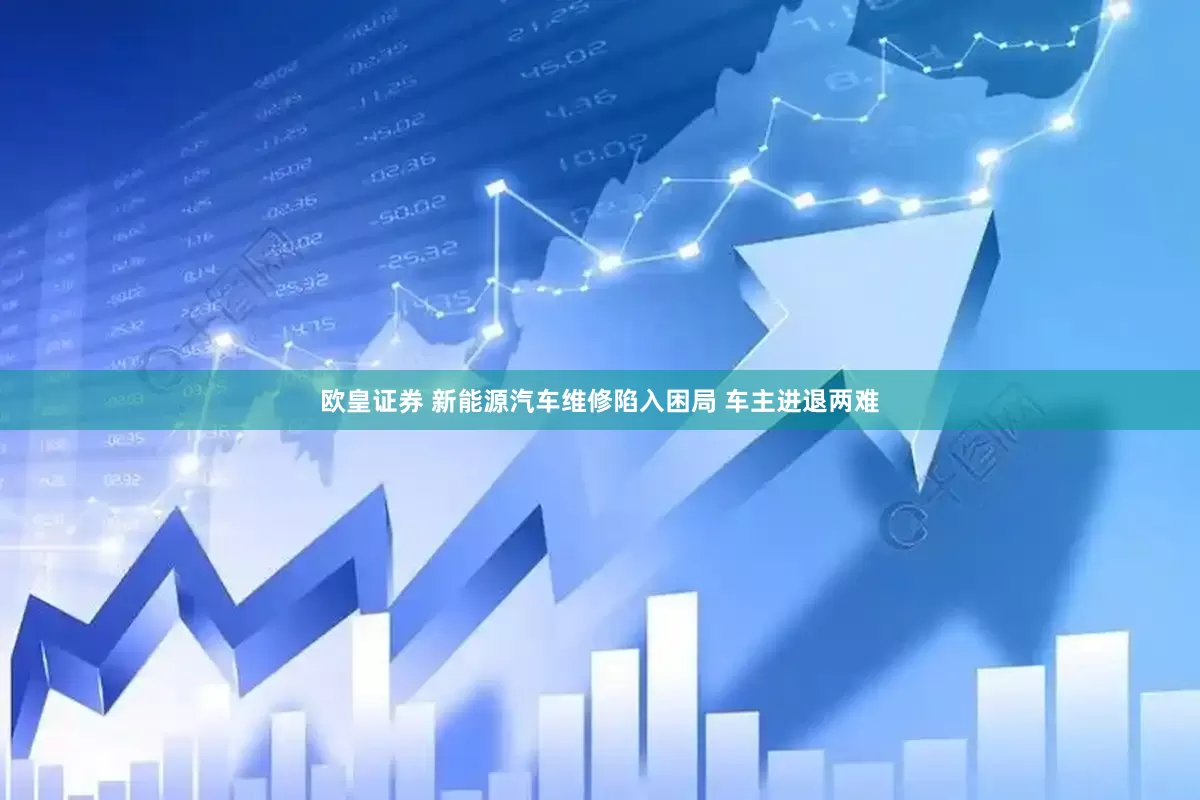 欧皇证券 新能源汽车维修陷入困局 车主进退两难