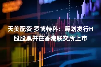 天美配资 罗博特科：筹划发行H股股票并在香港联交所上市