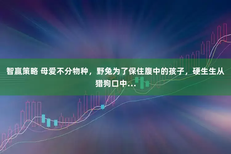 智赢策略 母爱不分物种，野兔为了保住腹中的孩子，硬生生从猎狗口中…